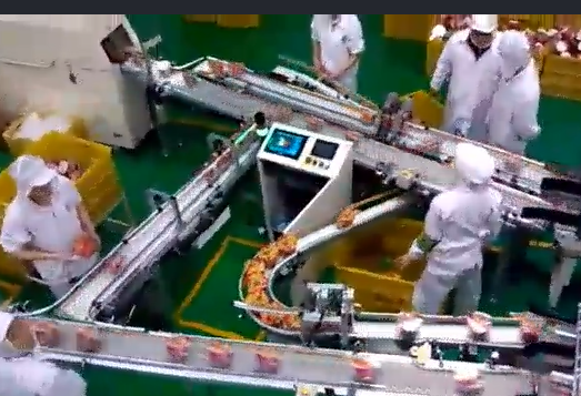 當(dāng)輸送帶出現(xiàn)跑偏后，怎么辦？